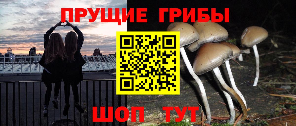 Галлюциногенные грибы MAGIC MUSHROOMS  Вход с VPN  где продают   Добрянка 